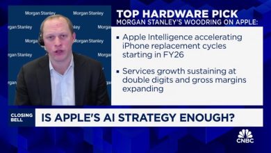 Correção da Apple devido aos fundamentos, atualizações esperadas do iPhone 17, diz Woodring do Morgan Stanley