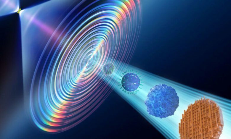 Haozhi Sha e John Miao/UCLA Microscopia computacional unifica microscopia e cr