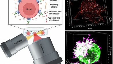 Modo de ação do novo método de microscopia LLS-TDI-DNA-PAINT. No canto superior direito,