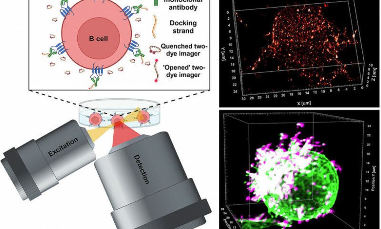 Modo de ação do novo método de microscopia LLS-TDI-DNA-PAINT. No canto superior direito,