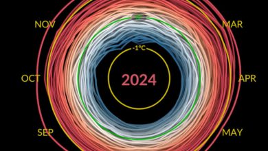 Aumento da temperatura em 2024 em comparação com 1880. Veja a animação completa na NASA