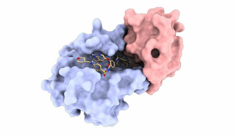 Um dos ligantes de proteína de novo do LPDI (vermelho) ligado à proteína Bcl2 (b