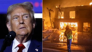 Trump alega incêndio na Califórnia enquanto governador tentava salvar peixes “inúteis”