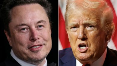 O que causou incêndios florestais em Los Angeles? Musk, Trump culpam DEI e um peixe pequeno