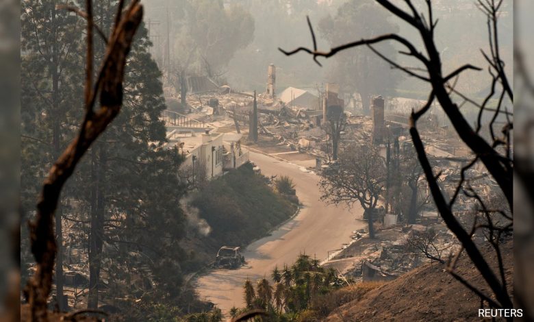 Governador da Califórnia critica Elon Musk por "mentiras" do incêndio florestal em Los Angeles