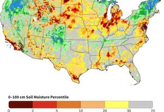 Um mapa mostrando o percentil de umidade do solo nos EUA
