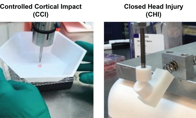 Uma imagem da configuração experimental para simular ferimentos na cabeça, com a imagem da esquerda mostrando um instrumento atingindo diretamente os modelos cerebrais e a imagem da direita mostrando uma forma plástica fechada que é atingida por um pistão
