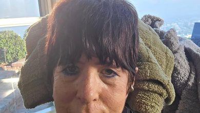 Diane Warren perde casa de praia em incêndios em Los Angeles