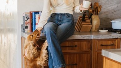 Cozinha Mari Llewellyn com cachorro