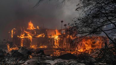 Carros abandonados em Pacific Palisades