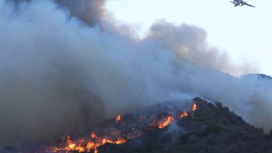 Pacific Palisades incendeia enquanto consome casas e bairros de moradores