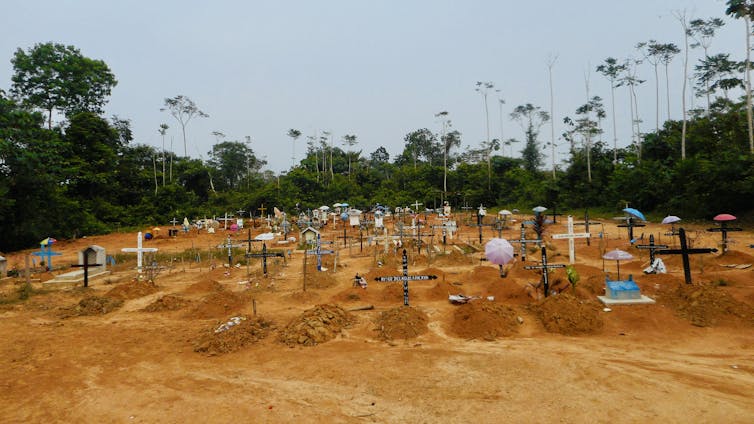 Fileiras de sepulturas, com montes de terra encimados por cruzes, com uma floresta ao fundo.