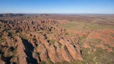 Vista aérea grande angular da cordilheira Bungle Bungle, na Austrália Ocidental. Não vemos nada à distância, exceto uma planície árida e plana.