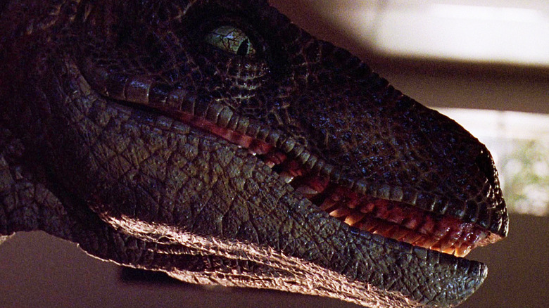 Um Raptor é mostrado de perfil em Jurassic Park