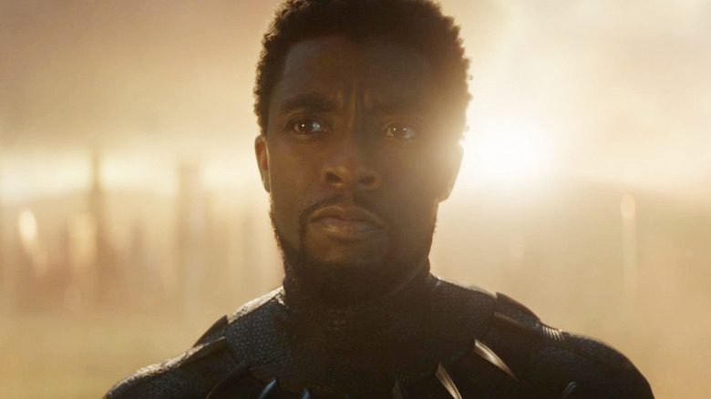 Chadwick Boseman como T'Challa emergindo de um portal em Vingadores: Ultimato