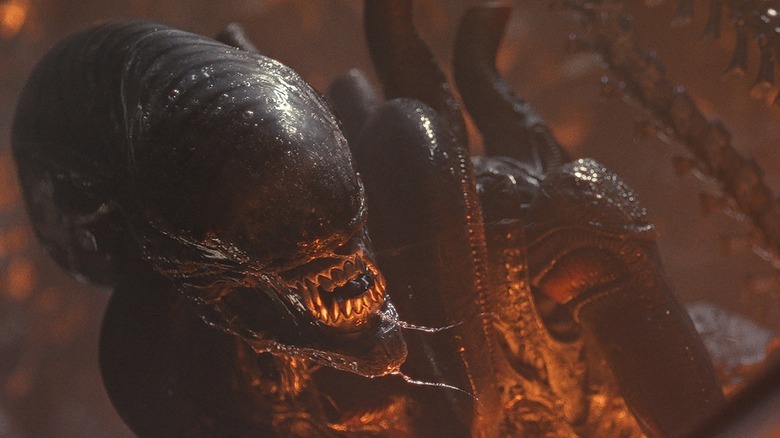 O Xenomorfo com presas à mostra e encharcado de luz laranja em uma cena de Alien: Romulus