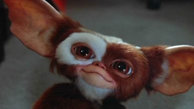 Gizmo sorrindo em Gremlins