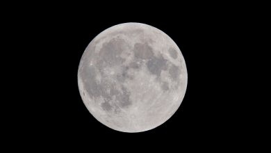 Lua adicionada à lista de locais históricos ameaçados em meio a preocupações com a corrida espacial