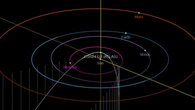 Um diagrama orbital mostrando a posição do cometa em comparação com o Sol e a Terra