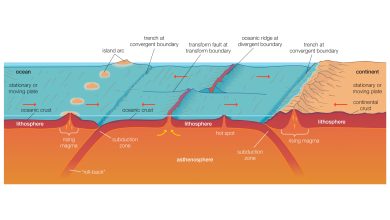 Um diagrama que mostra as diferentes camadas da Terra e como as placas tectônicas subduzem e formam dorsais meso-oceânicas, cadeias de montanhas e trincheiras.