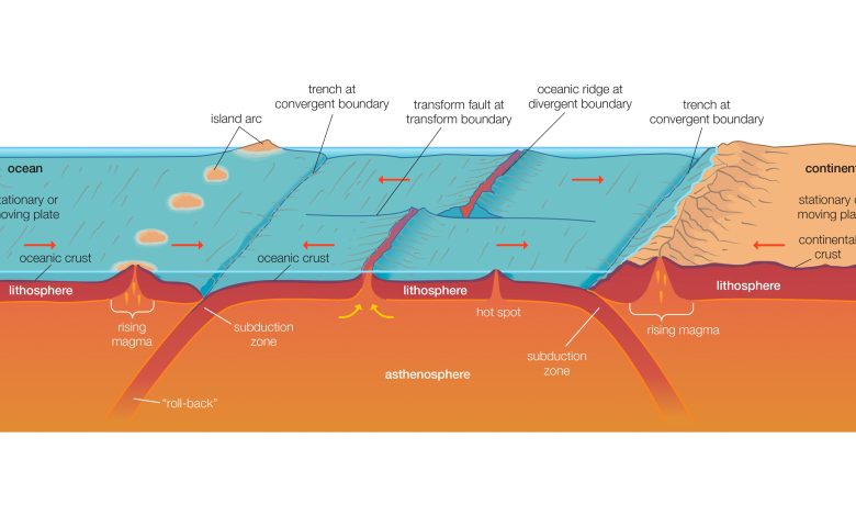 Um diagrama que mostra as diferentes camadas da Terra e como as placas tectônicas subduzem e formam dorsais meso-oceânicas, cadeias de montanhas e trincheiras.