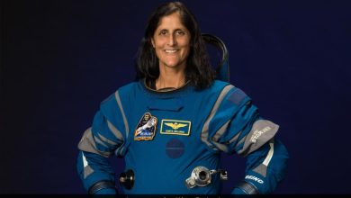 Sunita Williams fará sua primeira caminhada no espaço em 12 anos