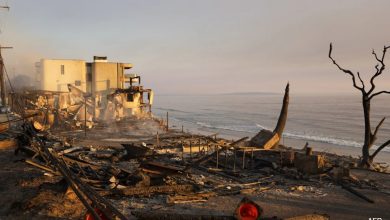 Aqui está o que os sobreviventes do incêndio florestal de Los Angeles encontraram em suas casas agora destruídas