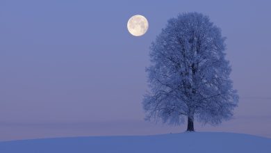 Como ver a 'Lua do Lobo' engolir Marte esta semana