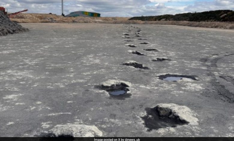 ‘Rodovia dos Dinossauros’ com 200 pegadas do período Jurássico encontradas no Reino Unido